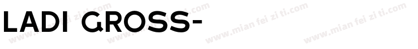 Ladi Gross字体转换